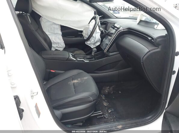 5NTJEDDF3RH121747 2024 HYUNDAI SANTA CRUZ White წინა სალონის ხედი