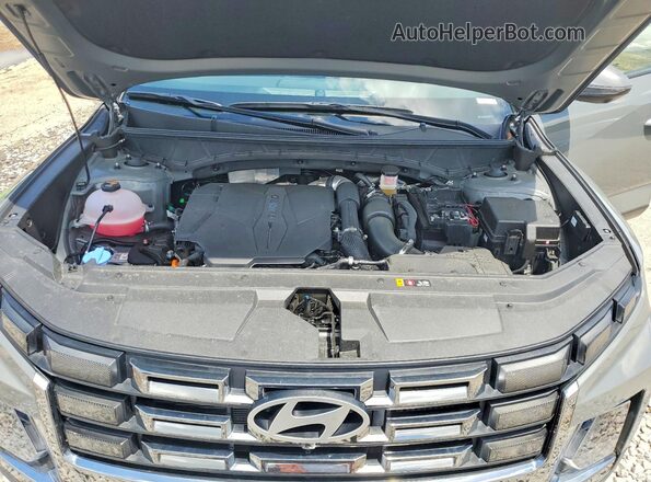 5NTJEDDF8SH150330 2025 HYUNDAI SANTA Gray 