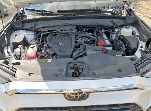 5TDAAAA52SS032840 2025 TOYOTA GRAND White Rear interior view