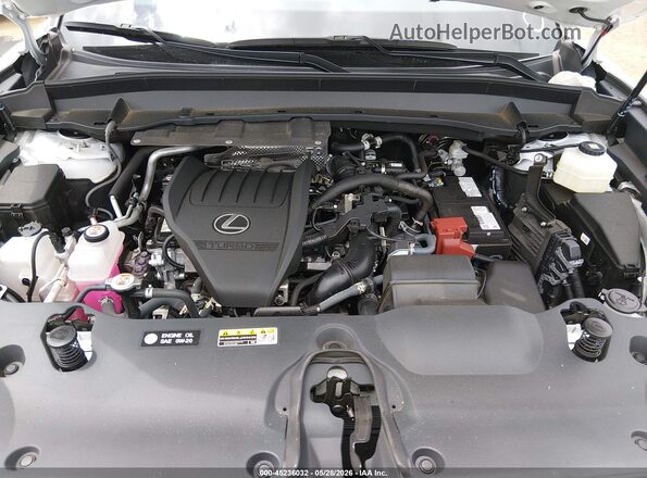 5TDAAAA65RS012150 2024 LEXUS TX 350 Белый Вид сзади