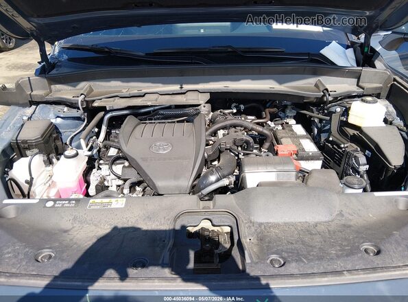 5TDAAAB53SS079034 2025 TOYOTA LIMITED Gray Widok z tyłu
