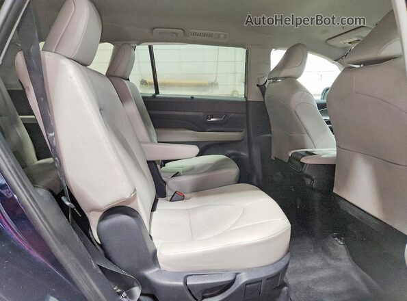 5TDAAAB55RS069986 2024 TOYOTA GRAND Синий 