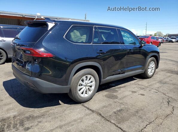 5TDAAAB5XSS078589 2025 TOYOTA GRAND Black 