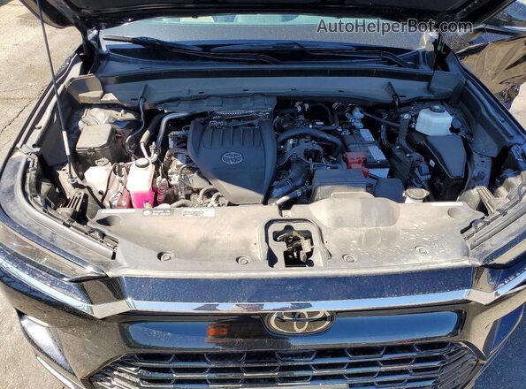 5TDAAAB5XSS078589 2025 TOYOTA GRAND Black 