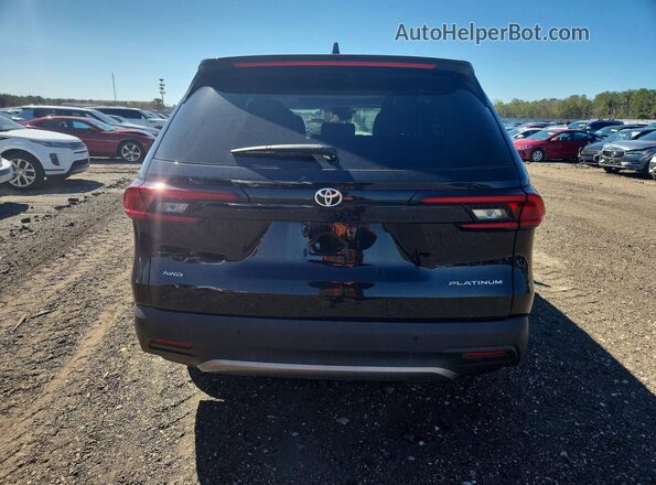 5TDAAAB5XSS097109 2025 TOYOTA GRAND Black Widok z tyłu