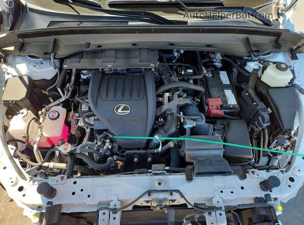 5TDAAAB60RS019683 2024 LEXUS TX White 