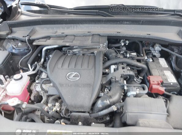 5TDAAAB60SS031743 2025 LEXUS TX 350 Blue Widok z tyłu
