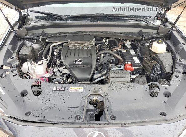 5TDAAAB63SS027623 2025 LEXUS TX Black Vista del compartimento del motor
