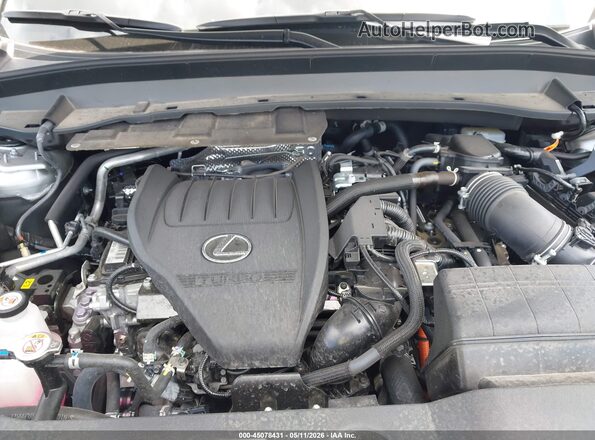 5TDABAB61SS010056 2025 LEXUS TX 500H Gray Вид ззаду