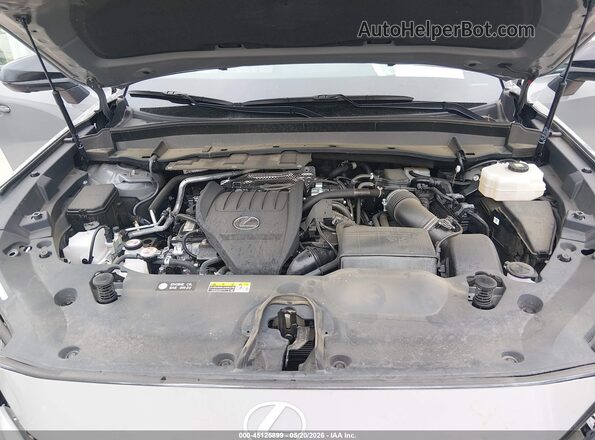 5TDABAB65RS006814 2024 LEXUS TX 500H Gray Widok z tyłu