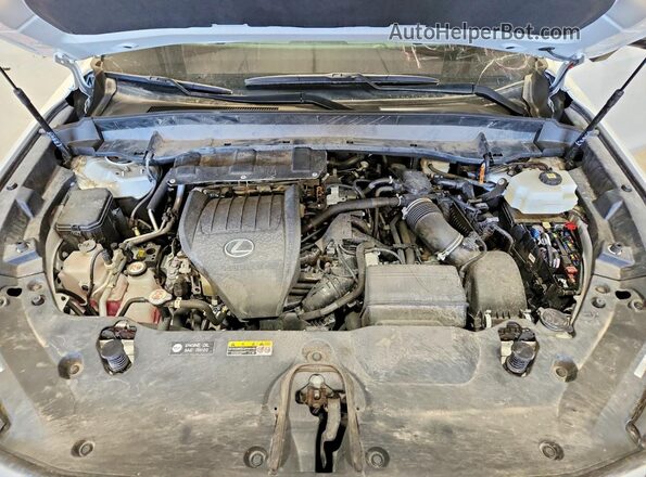 5TDABAB68RS004328 2024 LEXUS TX White Widok komory silnika
