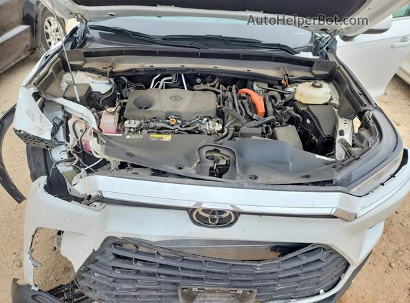 5TDACAB59SS048123 2025 TOYOTA GRAND Белый 
