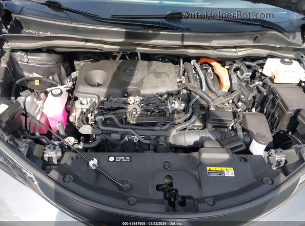 5TDBSKFC1SS175096 2025 TOYOTA SIENNA Серый Вид сзади