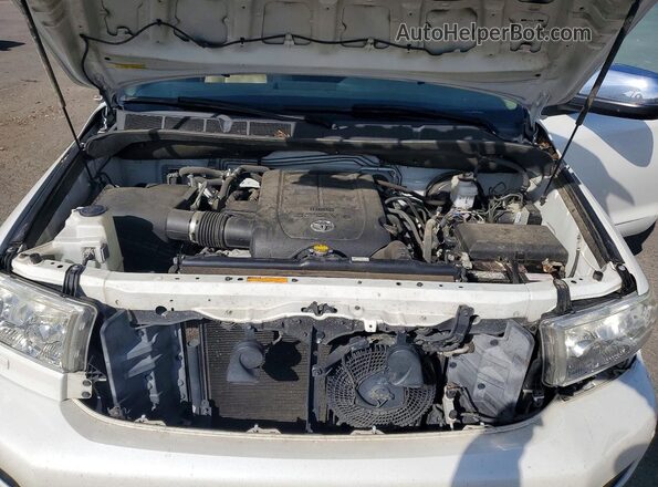 5TDDY5G16GS144357 2016 TOYOTA SEQUOIA White 