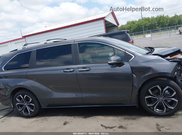 5TDERKEC5SS239313 2025 TOYOTA SIENNA Черный Панорамный вид салона 360°