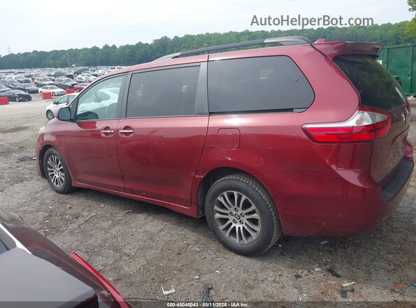 5TDYZ3DC6KS976525 2019 TOYOTA LE Red Սալոնի 360 աստիճան տեսք