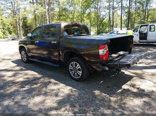 5TFAY5F10KX825525 2019 TOYOTA TUNDRA Brown Tył lewy
