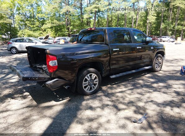 5TFAY5F10KX825525 2019 TOYOTA TUNDRA Brown Tył prawy
