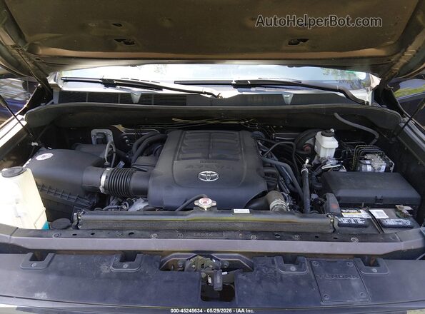 5TFAY5F10KX825525 2019 TOYOTA TUNDRA Brown Widok z tyłu