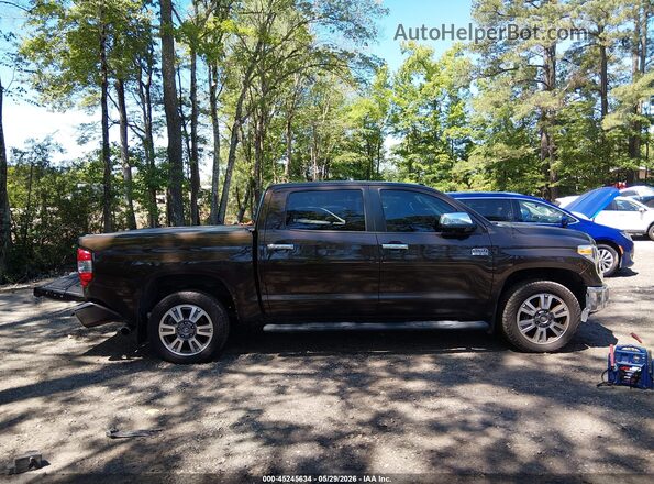 5TFAY5F10KX825525 2019 TOYOTA TUNDRA Brown Widok wnętrza z tyłu