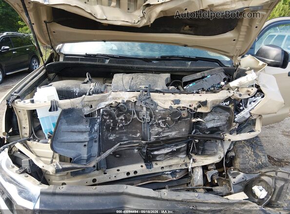 5TFDW5F11KX847004 2019 TOYOTA TUNDRA Tan 