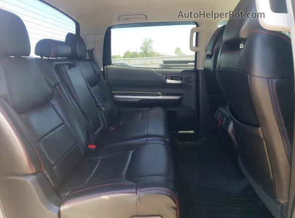 5TFDW5F19HX585192 2017 TOYOTA TUNDRA Tan Vista de los asientos traseros