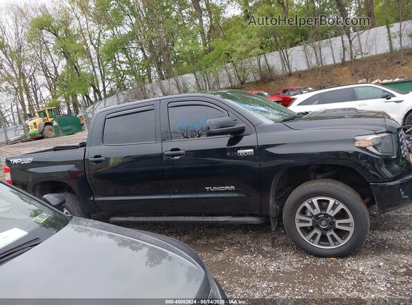 5TFDY5F13LX922605 2020 TOYOTA TUNDRA Черный Вид задней части салона