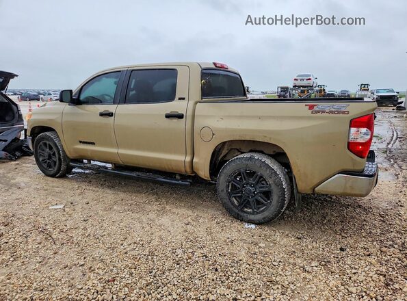 5TFEM5F18KX141691 2019 TOYOTA TUNDRA Tan Հետևի ձախ