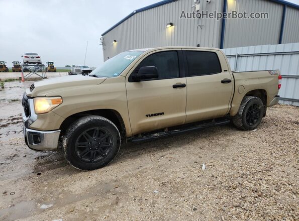5TFEM5F18KX141691 2019 TOYOTA TUNDRA Tan Սալոնի 360 աստիճան տեսք