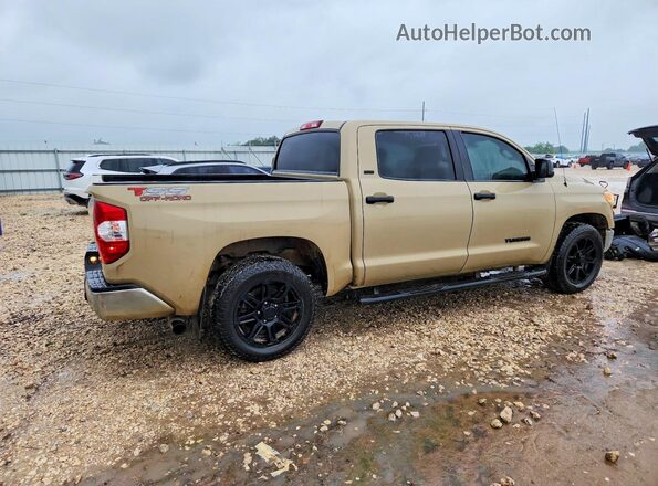 5TFEM5F18KX141691 2019 TOYOTA TUNDRA Tan Հետևի աջ