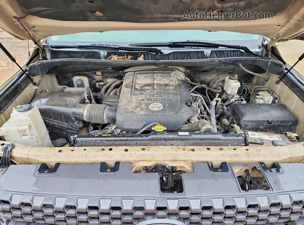 5TFEM5F18KX141691 2019 TOYOTA TUNDRA Tan Սալոնի հետևի տեսք