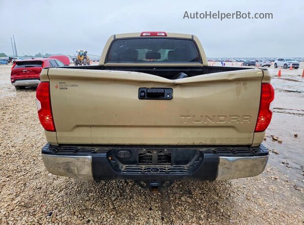 5TFEM5F18KX141691 2019 TOYOTA TUNDRA Tan Հետևի տեսք