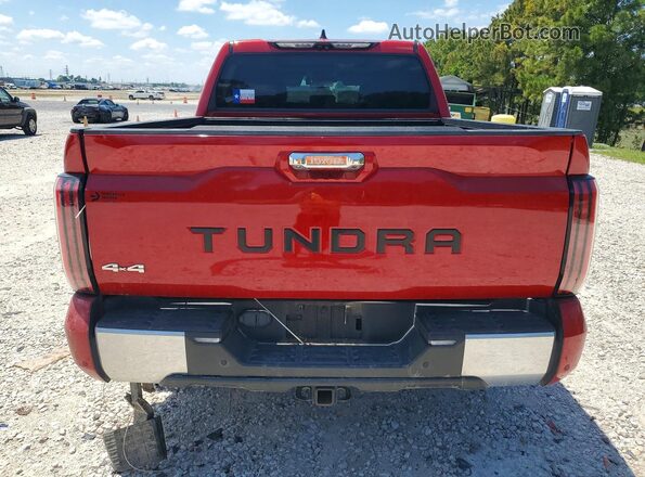 5TFJC5DB2PX020627 2023 TOYOTA TUNDRA Красный Вид сзади