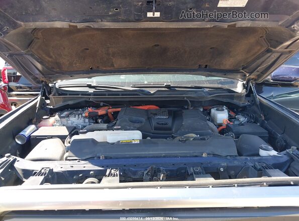 5TFJC5EC7PX004169 2023 TOYOTA LIMITED Navy Հետևի տեսք