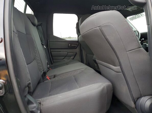 5TFKB5DA5SX253666 2025 TOYOTA TUNDRA Черный Вид задних сидений