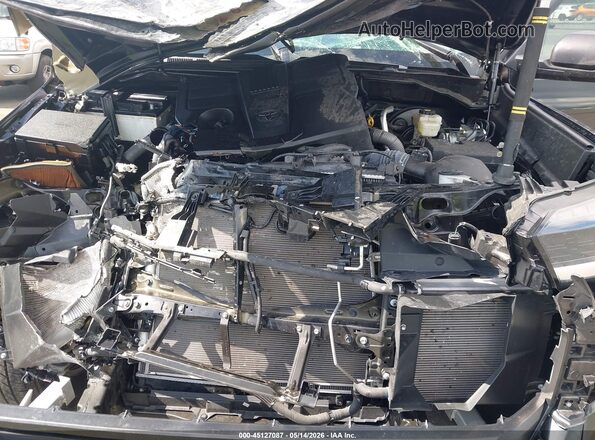5TFKB5DB4SX305717 2025 TOYOTA TUNDRA Черный Вид сзади