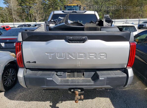 5TFKB5DB5RX175974 2024 TOYOTA TUNDRA Серый Вид сзади