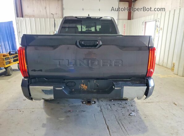5TFLA5DA9PX083701 2023 TOYOTA TUNDRA Gray Widok z tyłu