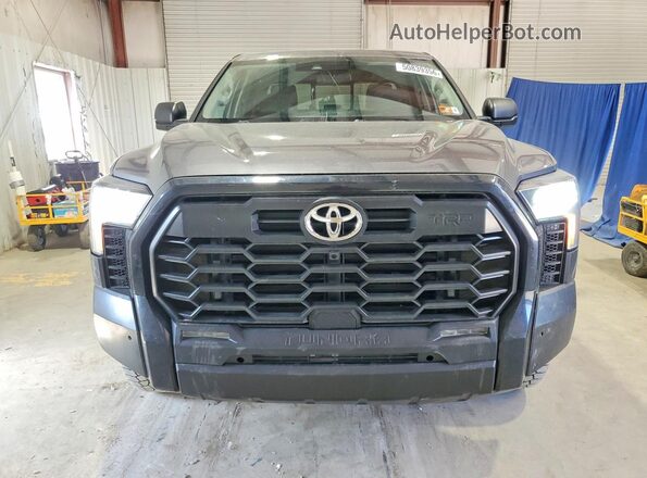 5TFLA5DA9PX083701 2023 TOYOTA TUNDRA Gray Widok z przodu