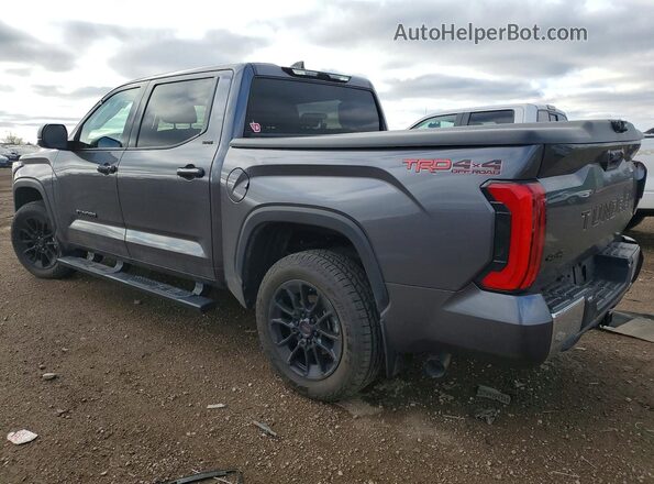 5TFLA5DB0PX112138 2023 TOYOTA TUNDRA Gray Հետևի ձախ