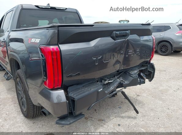 5TFLA5DB1RX163263 2024 TOYOTA TUNDRA Gray წინა ხედი
