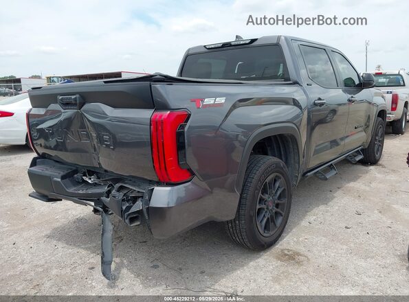 5TFLA5DB1RX163263 2024 TOYOTA TUNDRA Gray უკანა მარჯვენა