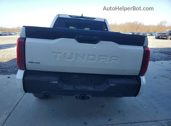 5TFLA5DB2PX099358 2023 TOYOTA TUNDRA White 
