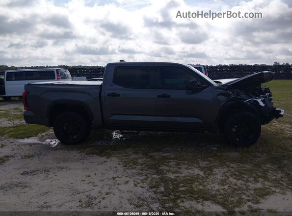 5TFLA5DB4SX256526 2025 TOYOTA TUNDRA Серый Панорамный вид салона 360°