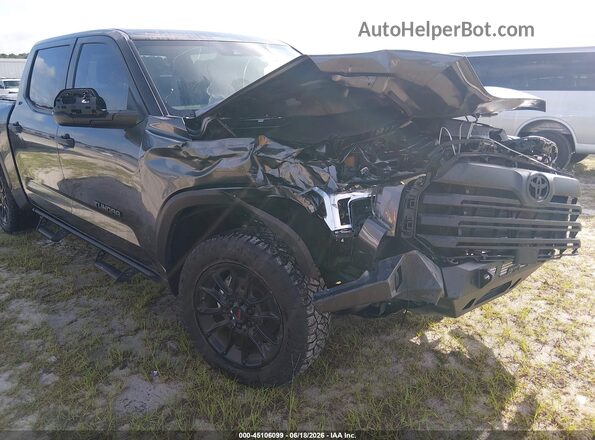 5TFLA5DB4SX256526 2025 TOYOTA TUNDRA Серый Вид спереди