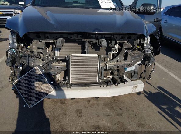 5TFLA5DB4SX260463 2025 TOYOTA TUNDRA Gray 