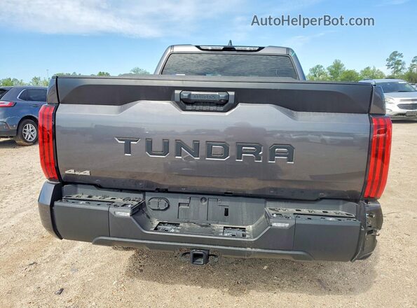 5TFLA5DB4SX266943 2025 TOYOTA TUNDRA Silver Widok z tyłu