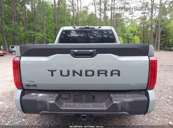 5TFLA5DB7TX369596 2026 TOYOTA TUNDRA Серый 