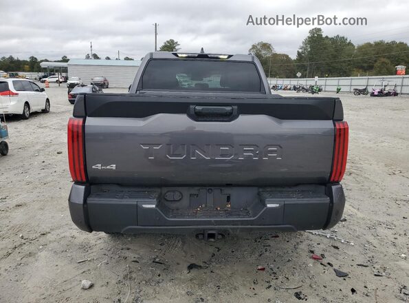 5TFLA5DB8RX172588 2024 TOYOTA TUNDRA Gray Вид ззаду