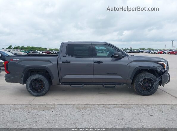 5TFLA5DBXPX096630 2023 TOYOTA TUNDRA Gray Widok wnętrza z tyłu